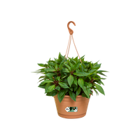 green basics hanging basket 28cm mild terra